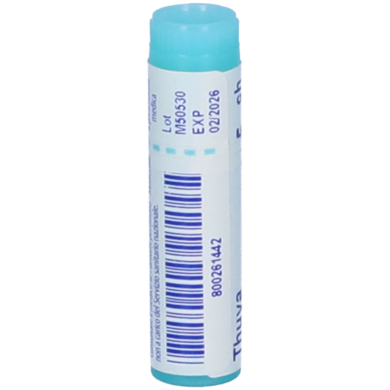 Tubo cilindrico, tappo blu. Scritta: Thuya occidentalis, 5 ch, BOIRON. Codice a barre e scadenza 02/2026.