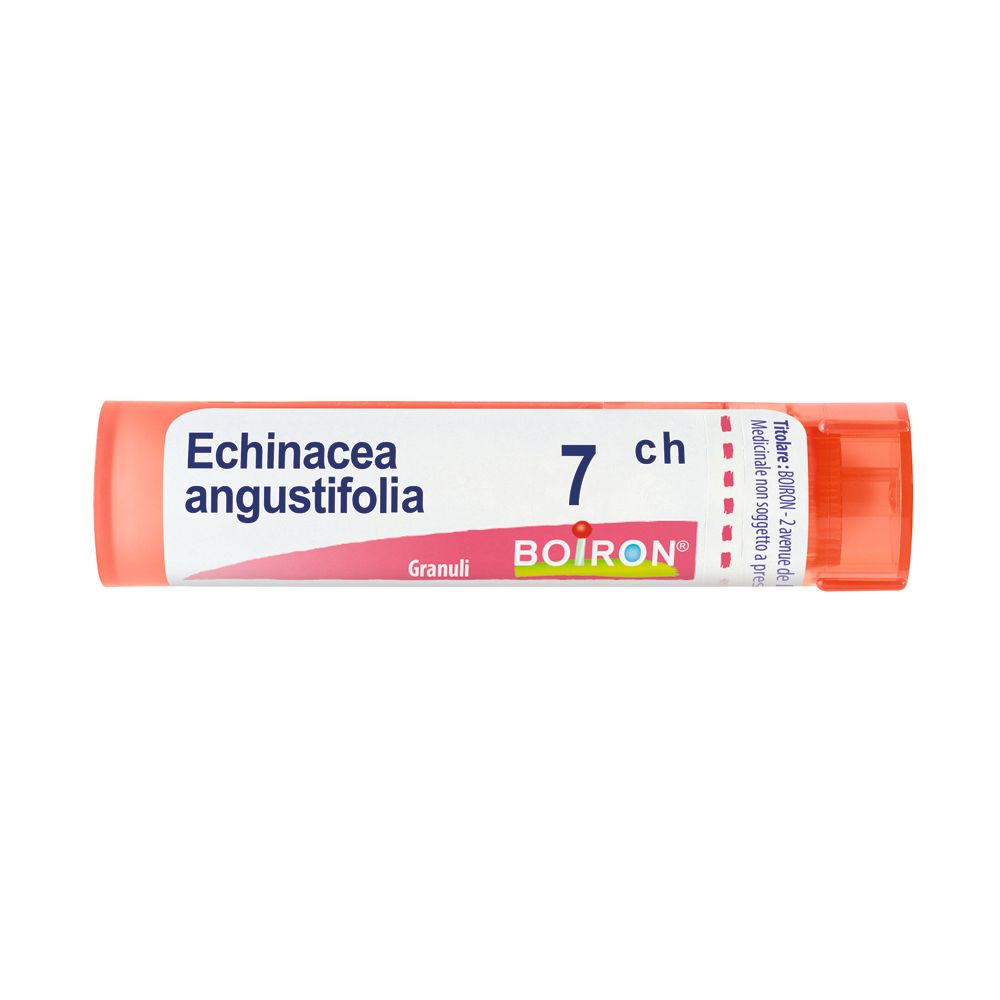Confezione cilindrica rosa con informazioni. Scritta: Echinacea angustifolia 7 ch, BOIRON. Granuli.