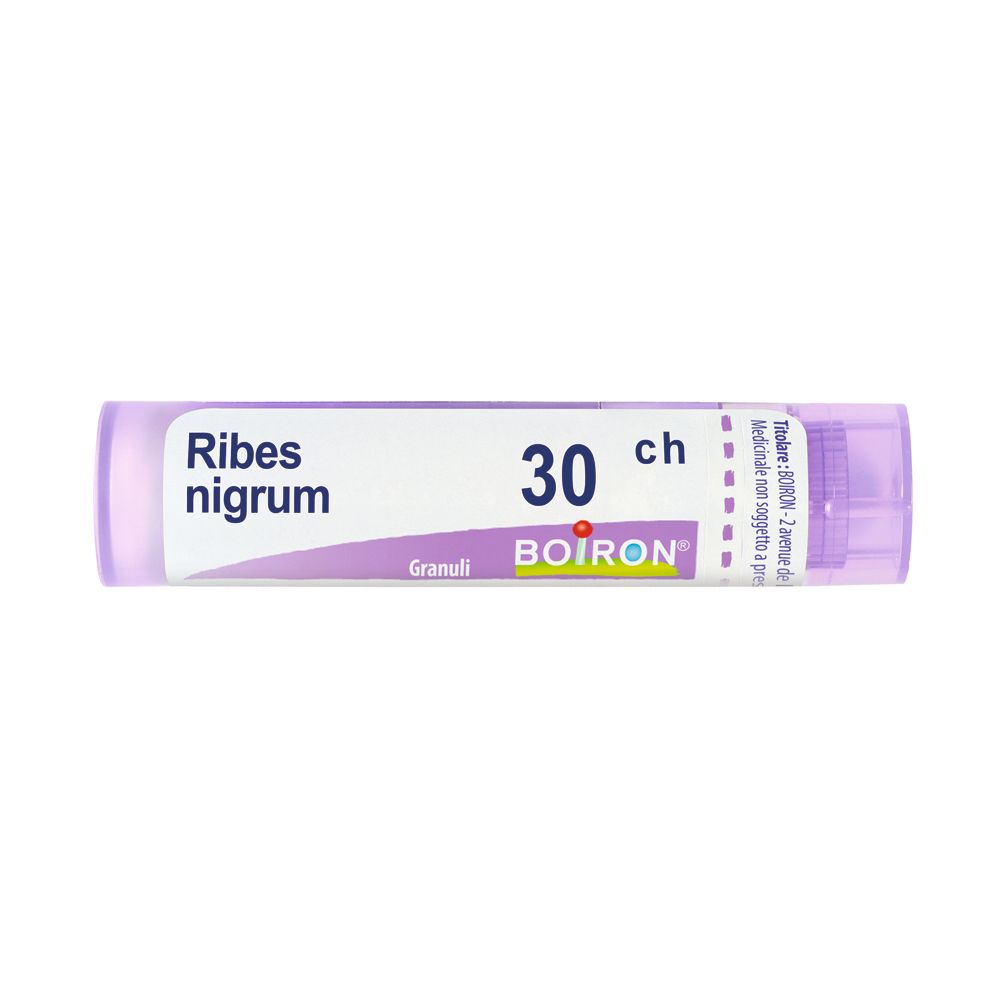 Ribes Nigrum 30Ch Gr
