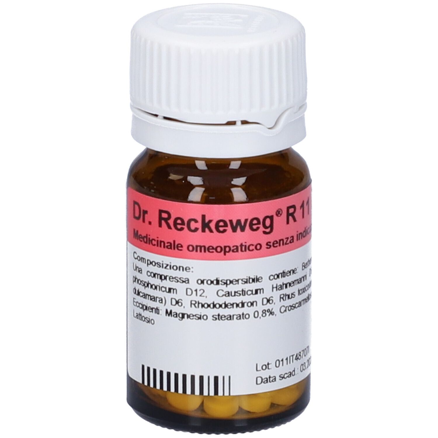 DR.RECKEWEG R11 Compresse