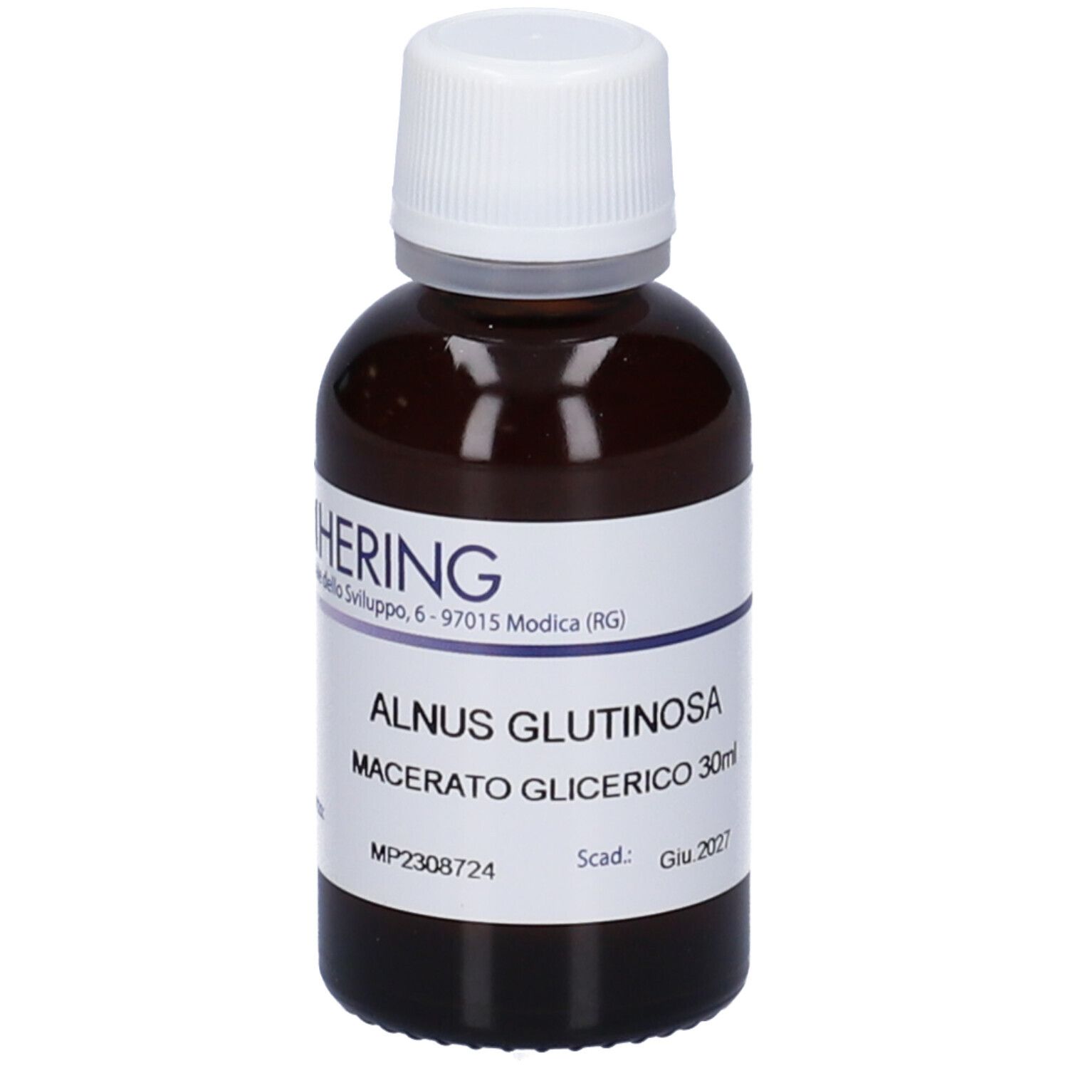 HERING Alnus Glutinosa Macerato Glicerico