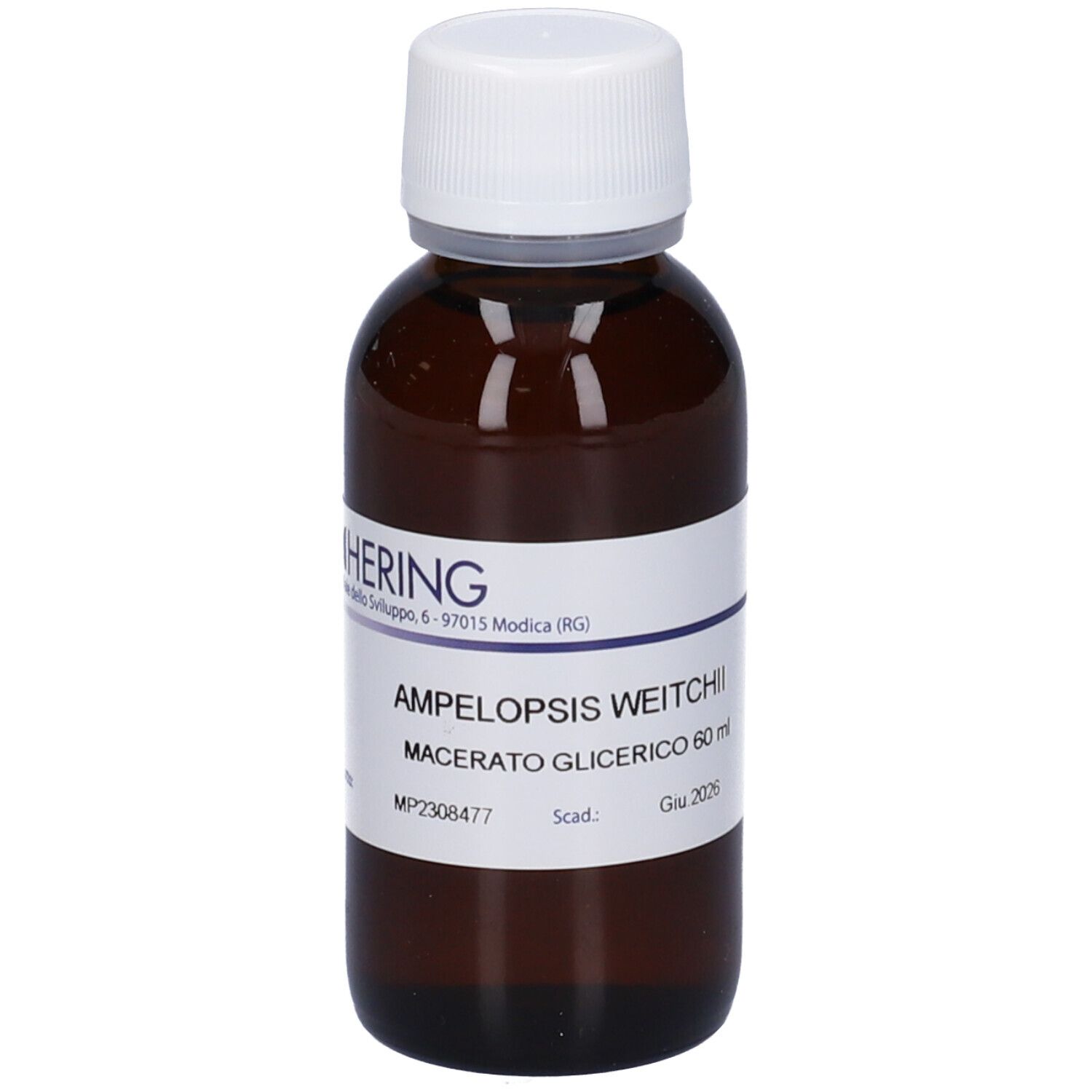 HERING Ampelopsis Weitchii Germogli Macerato Glicerico