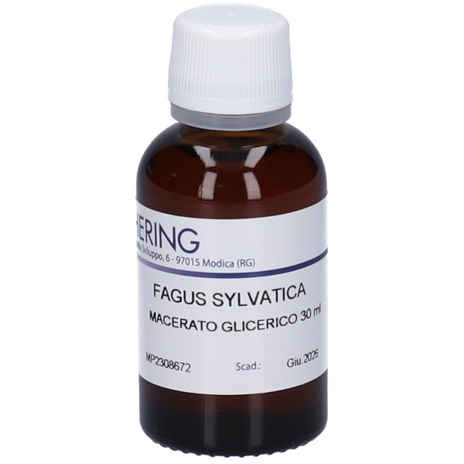 Fagus Sylvatica Gemme 30ML Mg