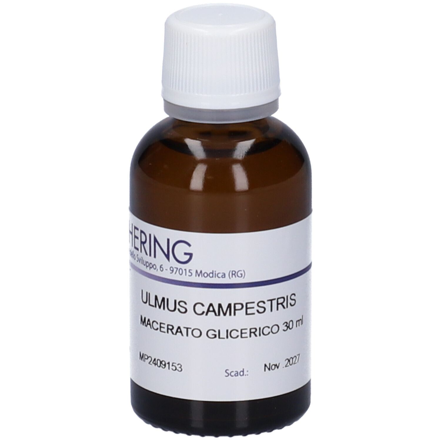 HERING Ulmus Campestris Gemme Macerato Glicerico