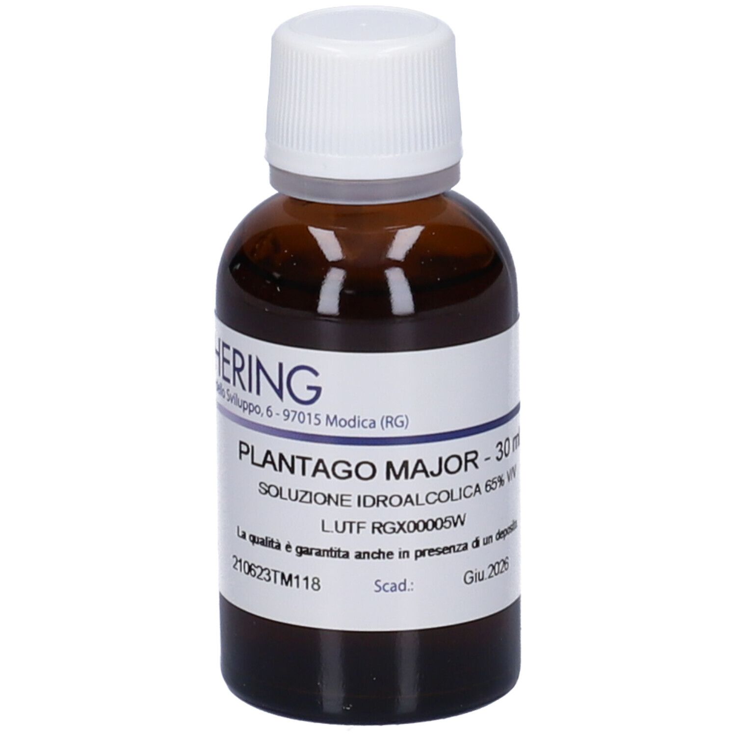 Hering Plantago Major 30Ml Tm