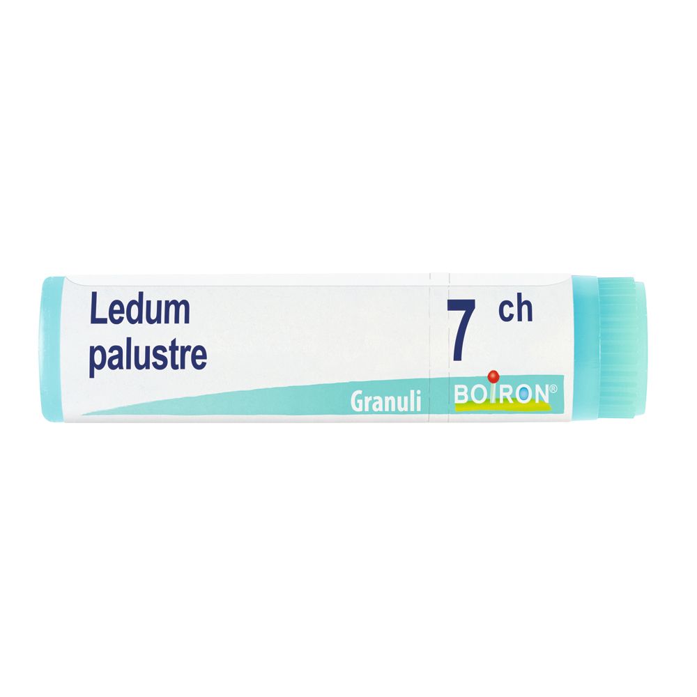 Confezione cilindrica con "Ledum palustre 7 ch Granuli" e logo "BOIRON". Colori: turchese e bianco.