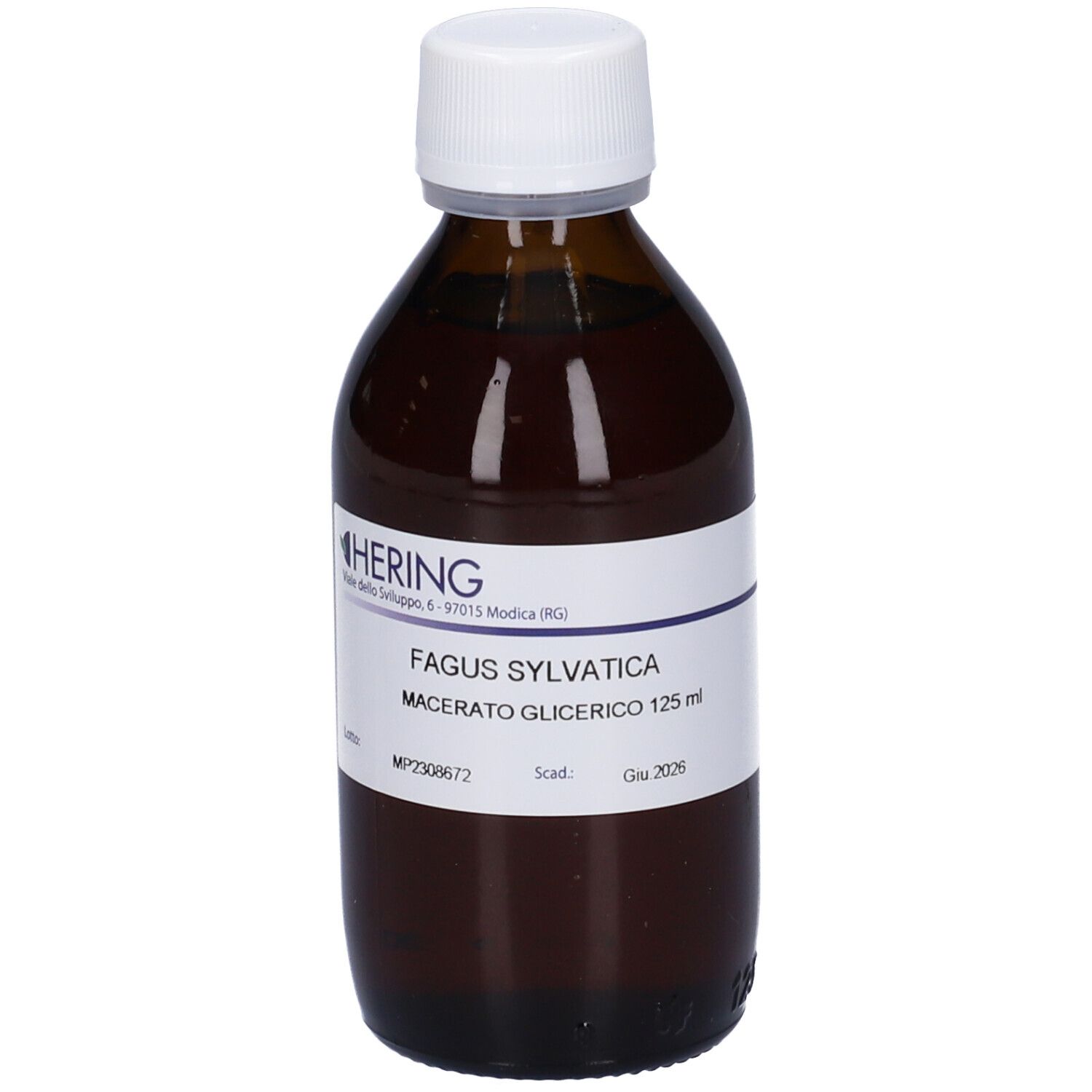 HERING Fagus Sylv Macerato Glicerico Gemme