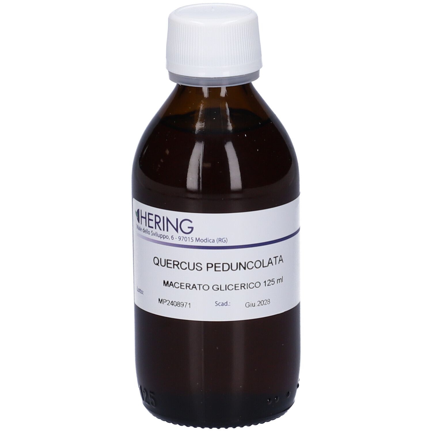 HERING Quercus Ped Macerato Glicerico Gemme