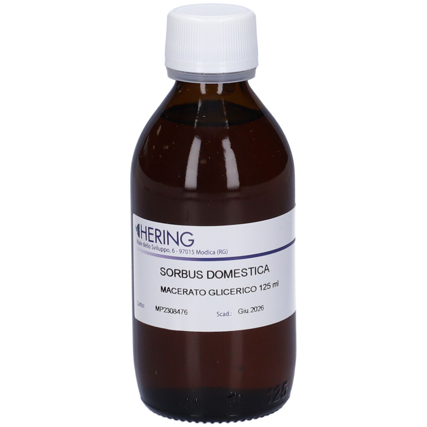 Sorbus DOM Mg Gem