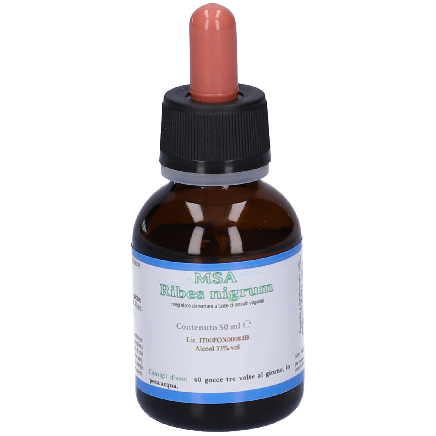 MSA Ribes Nigrum 50Ml 50 ml Lösung zum Einnehmen