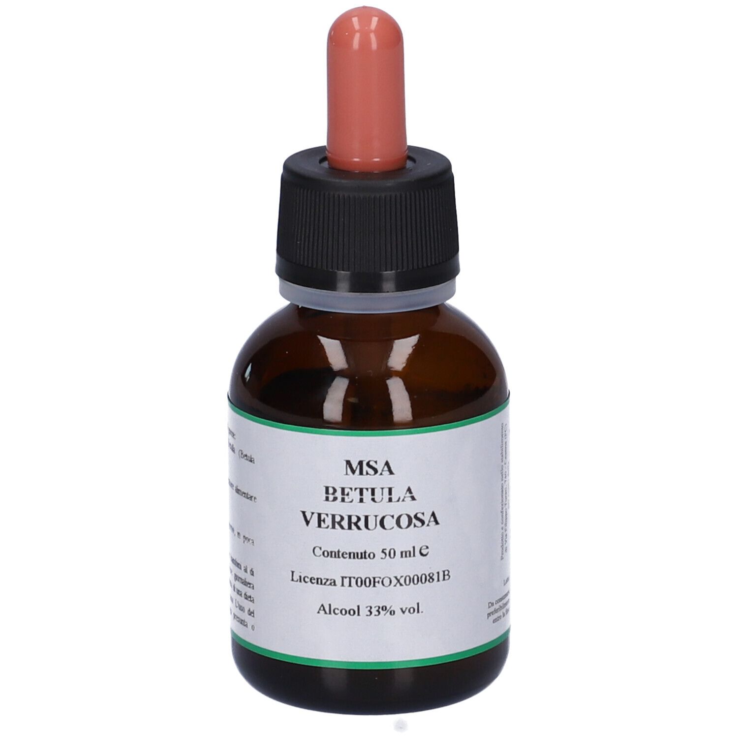 Herboplanet Msa Betula Verrucosa