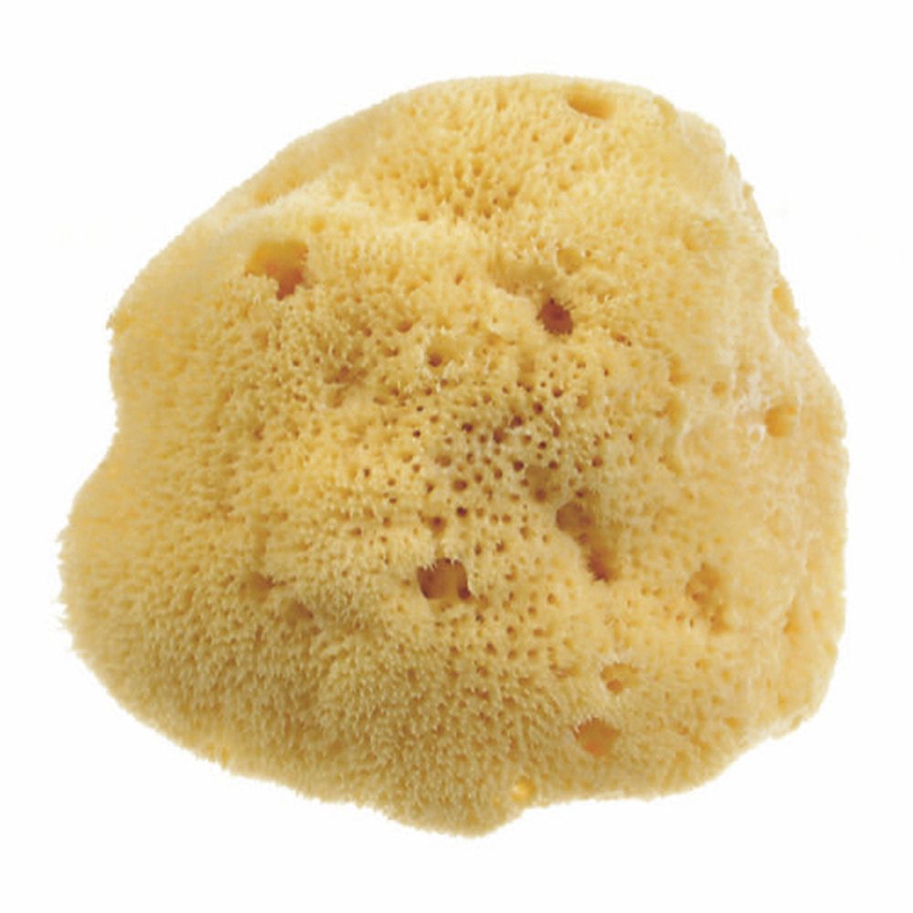 Beautytime Spugna Naturale Dama Media