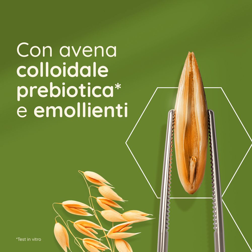 Graine d'avoine entre une pince. Texte: Con avena colloidale prebiotica e emollienti. Fond vert.