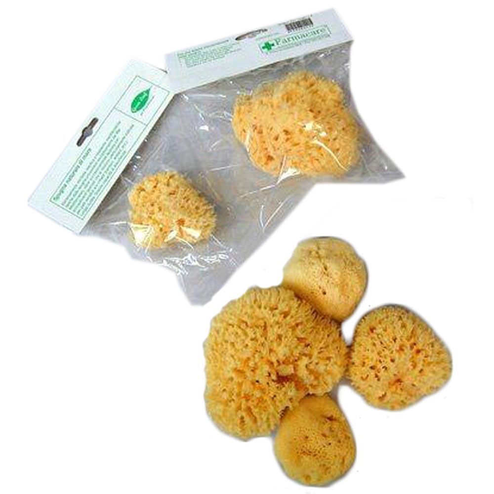 Spugna Nat Fori L 10/11 Cm 7