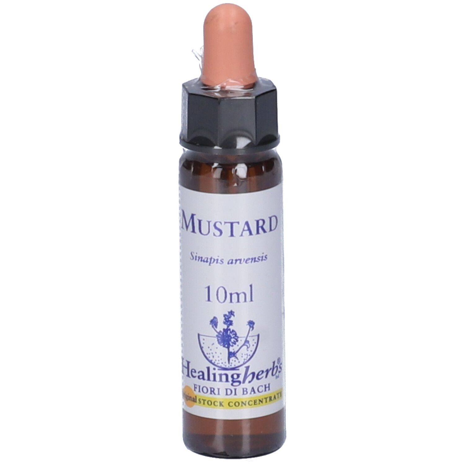 Mustard Essenza 10Ml