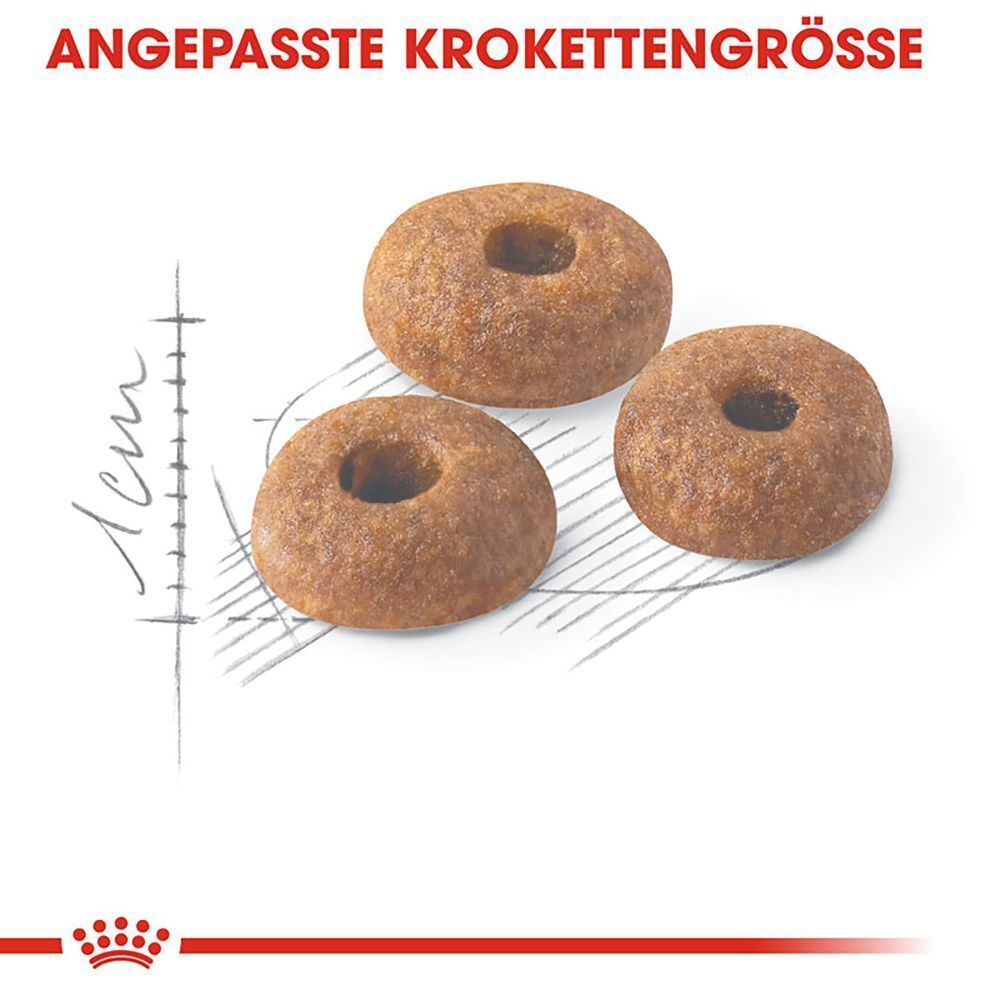 Drei angepasste Kroketten für Royal Canin Feline Fit 32.