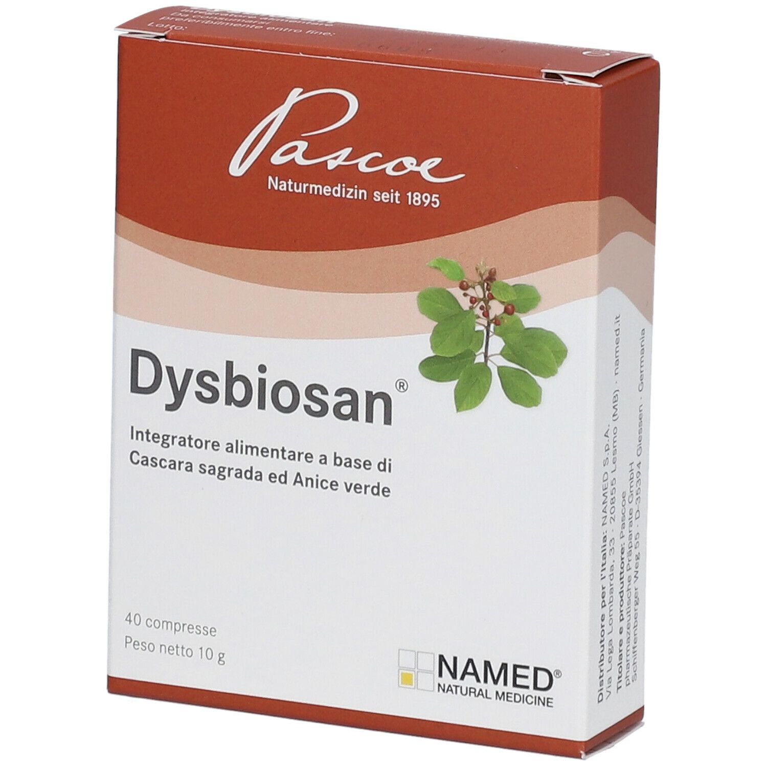 Produktverpackung mit Aufschrift Dysbiosan, 40 Tabletten, 10g. Logo Pascoe Naturmedizin. Mit Zweig und Blättern.