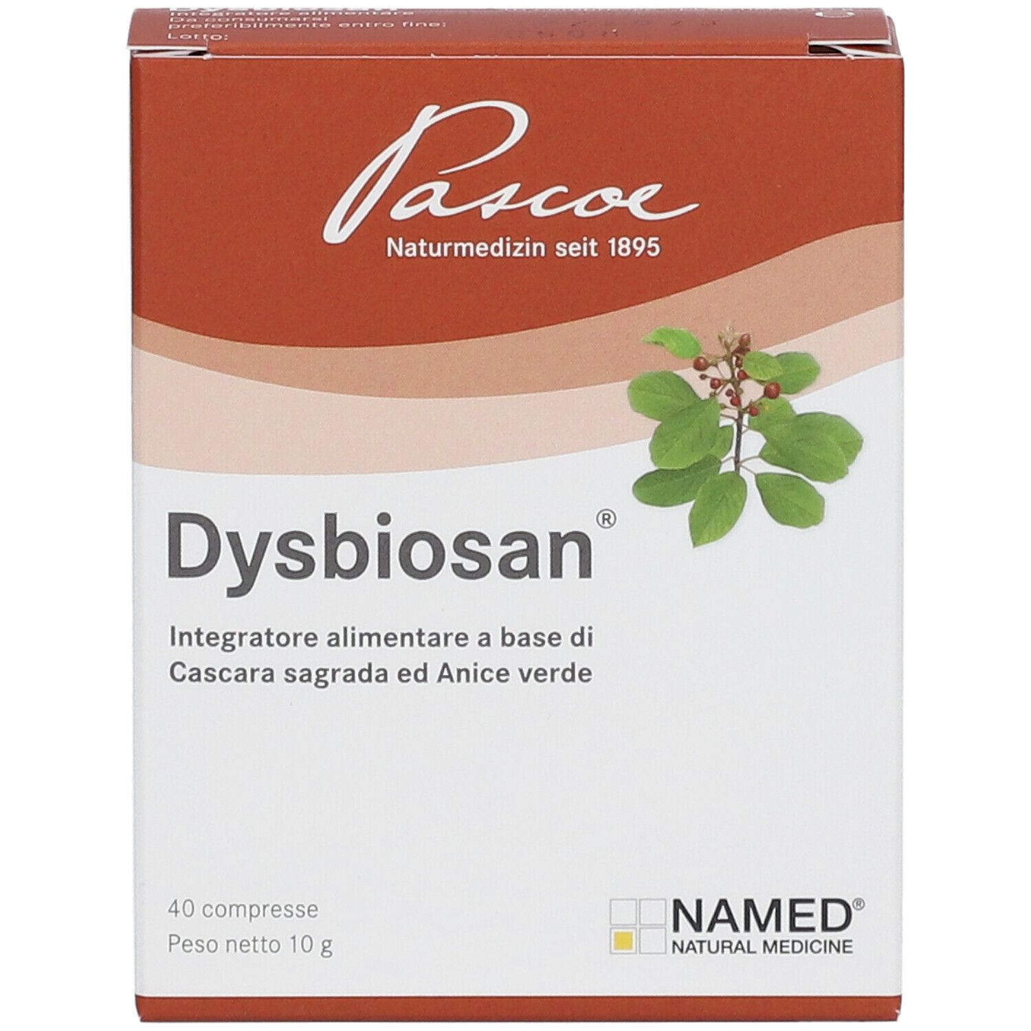 Produktverpackung mit Aufschrift Dysbiosan, 40 Tabletten, 10g. Logo Pascoe Naturmedizin. Mit Zweig und Blättern.