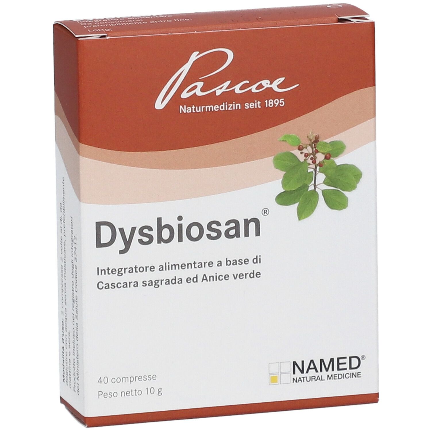 Produktverpackung mit Aufschrift Dysbiosan, 40 Tabletten, 10g. Logo Pascoe Naturmedizin. Mit Zweig und Blättern.