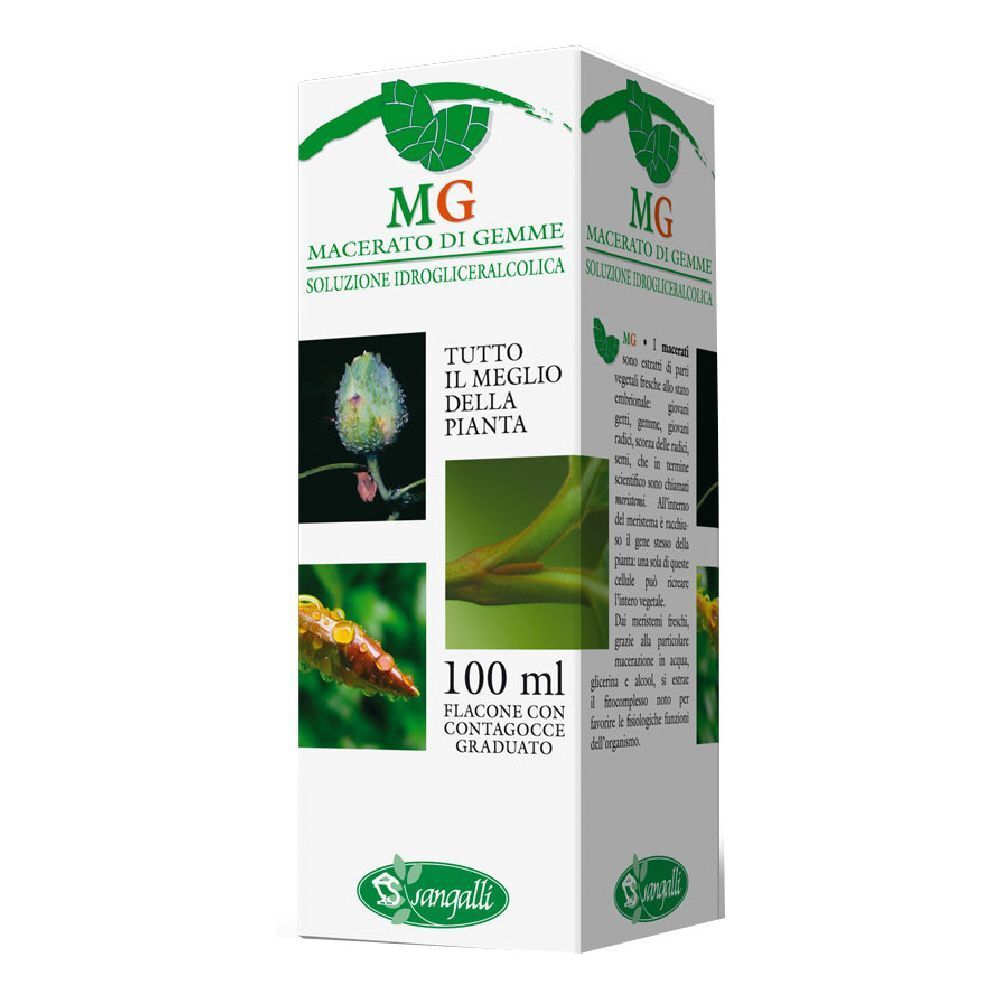 Betula Pubescens Macerato Glicerico 100 Ml