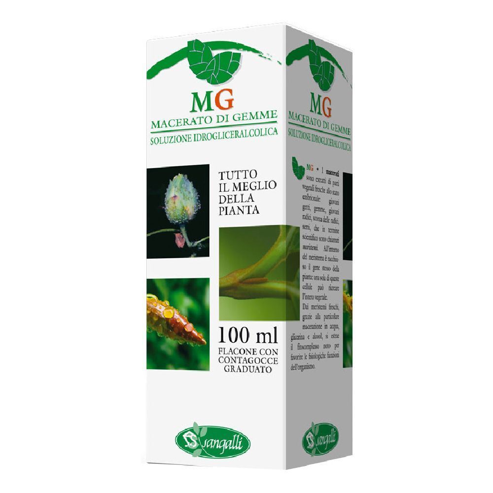 Betula Verrucosa Macerato Glicerico 100 Ml