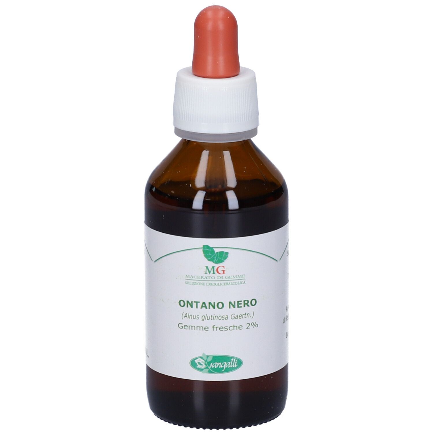 MG Ontano nero (Alnus glutinosa) gemme