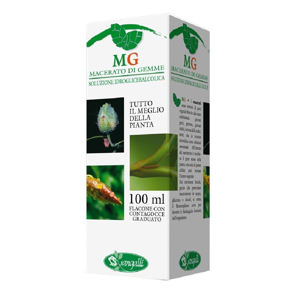 Scatola con immagini e testo. Scritto: Macerato di Gemme, 100 ml, Sangalli.