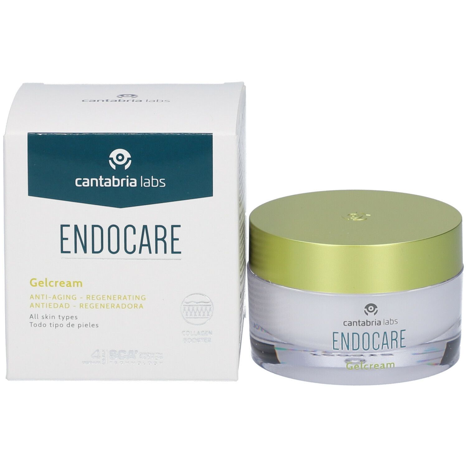 Vaso di crema con coperchio verde e scatola. Scritta: Endocare Gelcrem. Logo cantabria labs.