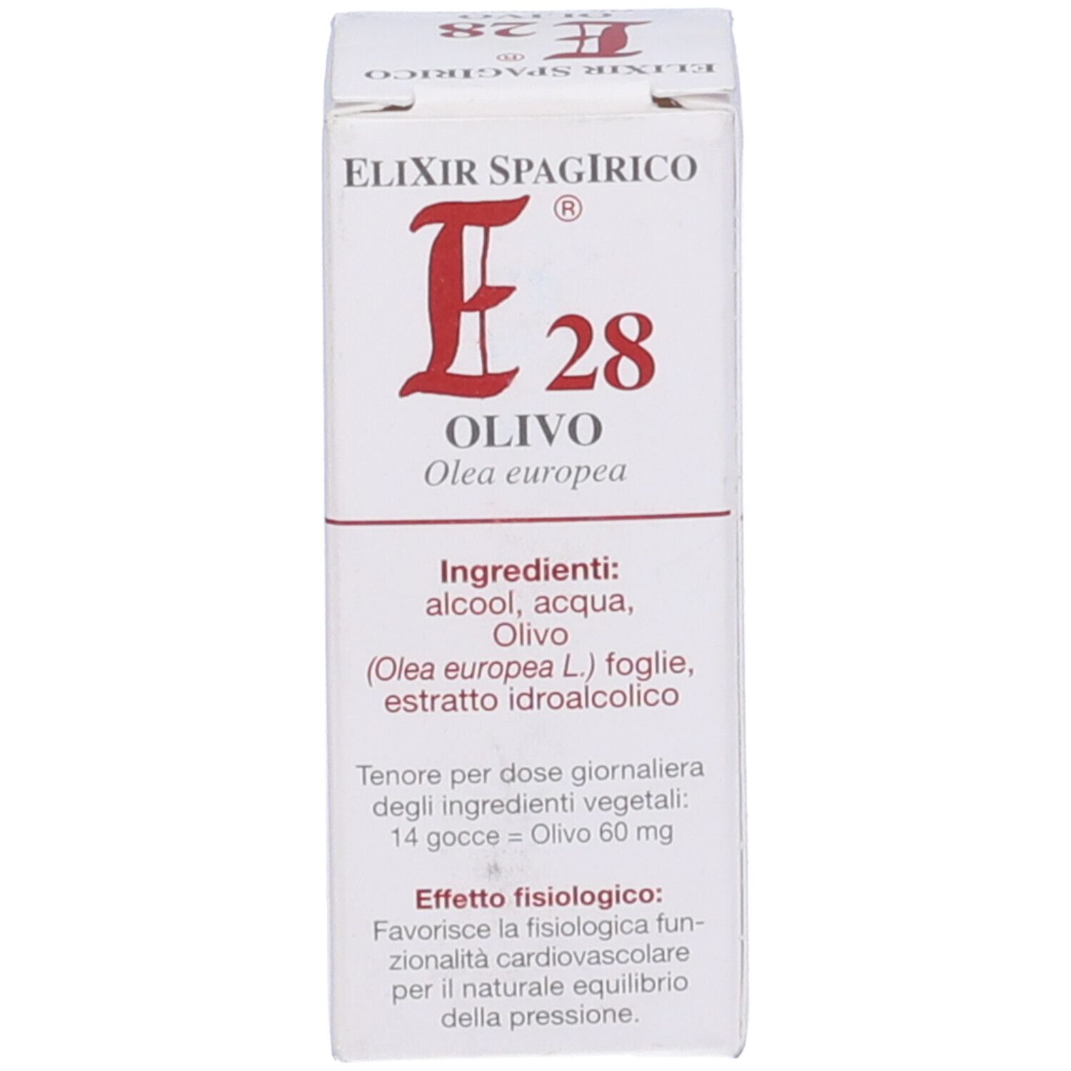 Scatola bianca con testo: "E28 Olivo".