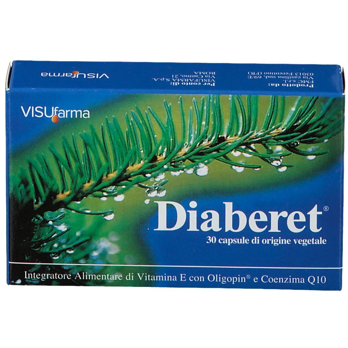 Blaue Schachtel mit Diaberet-Logo und 30 Kapseln. Hintergrund: Tannenzweig mit Wassertropfen.