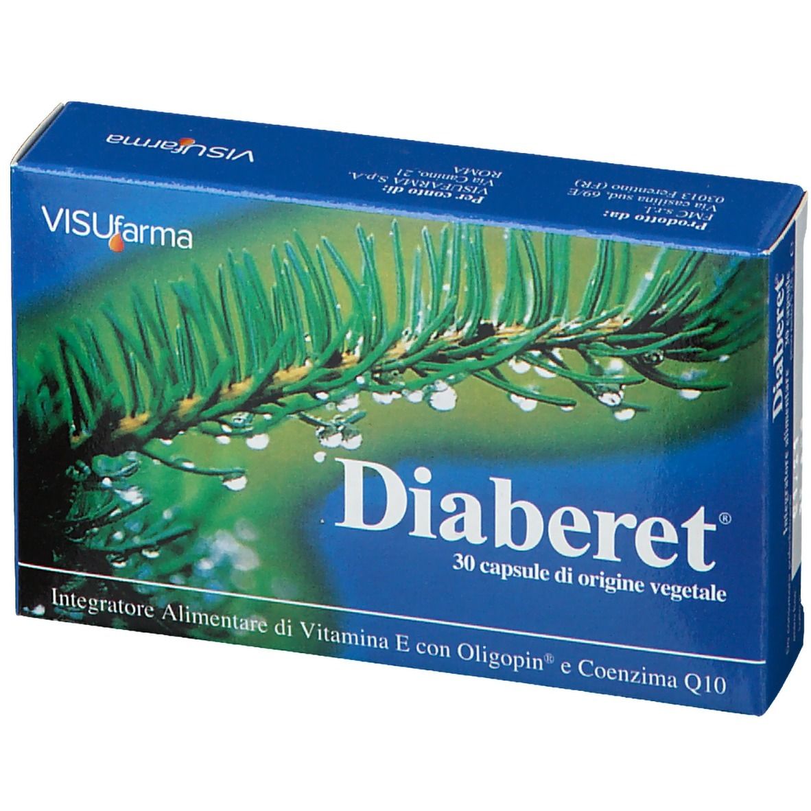 Blaue Schachtel mit Diaberet-Logo und 30 Kapseln. Hintergrund: Tannenzweig mit Wassertropfen.