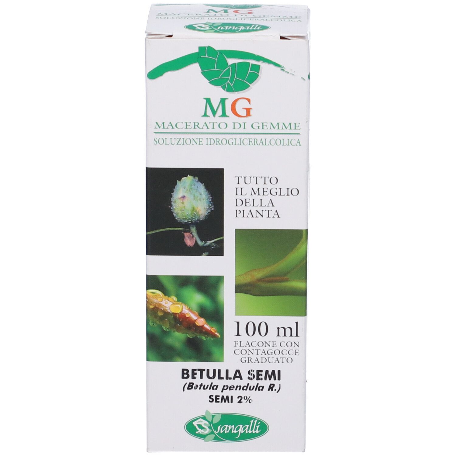 Confezione in cartone con informazioni sul prodotto. Testo: MG Macerato di Gemme, 100 ml, Sangalli. Immagini di piante.