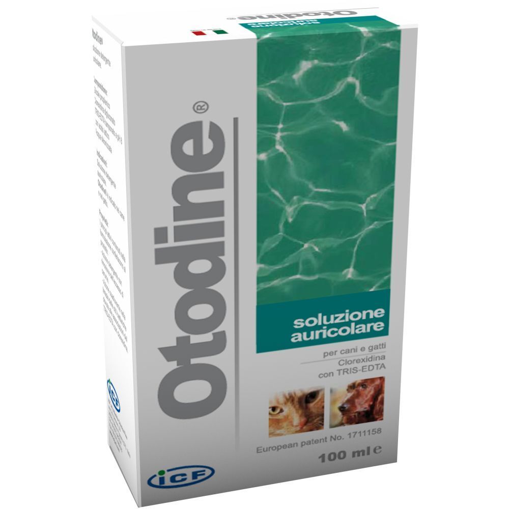 Otodine® 100 ml Soluzione