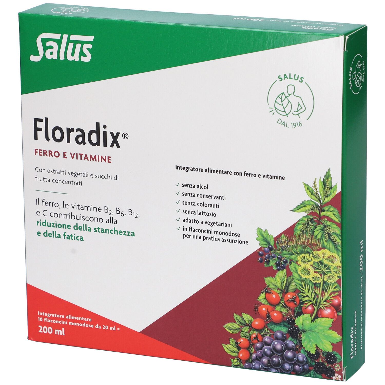 Scatola verde Salus Floradix. Scritta: Ferro e Vitamine. Illustrazione di frutta e foglie. Informazioni nutrizionali e ingredienti.