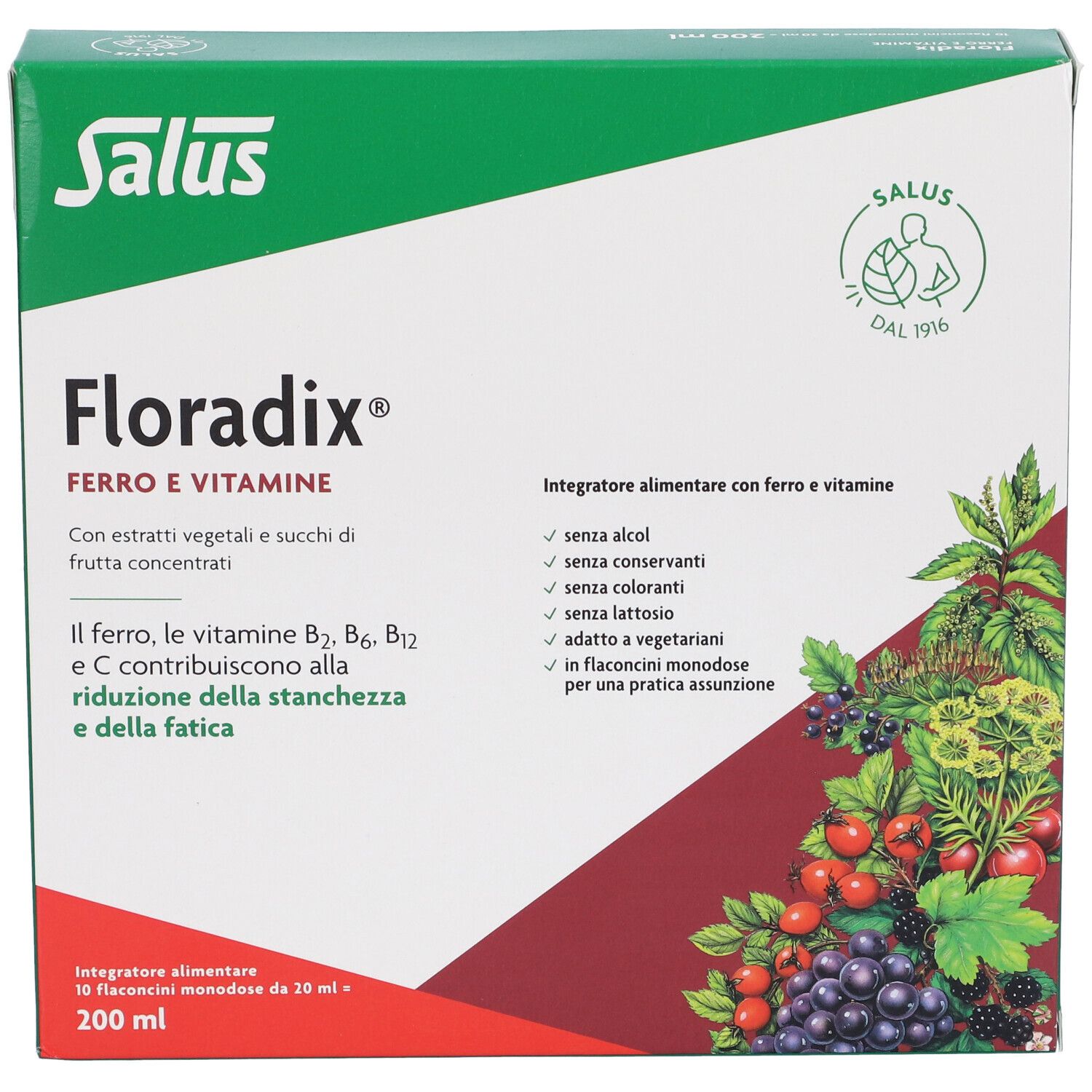 Scatola verde Salus Floradix. Scritta: Ferro e Vitamine. Illustrazione di frutta e foglie. Informazioni nutrizionali e ingredienti.