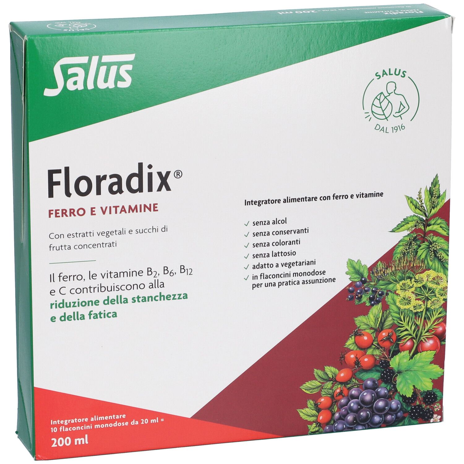 Scatola verde Salus Floradix. Scritta: Ferro e Vitamine. Illustrazione di frutta e foglie. Informazioni nutrizionali e ingredienti.