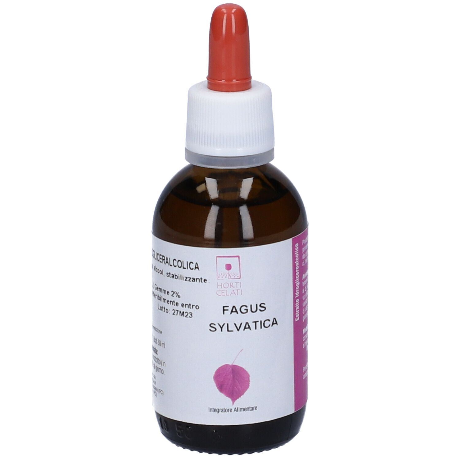 Fagus Sylvatica 50Ml Stv