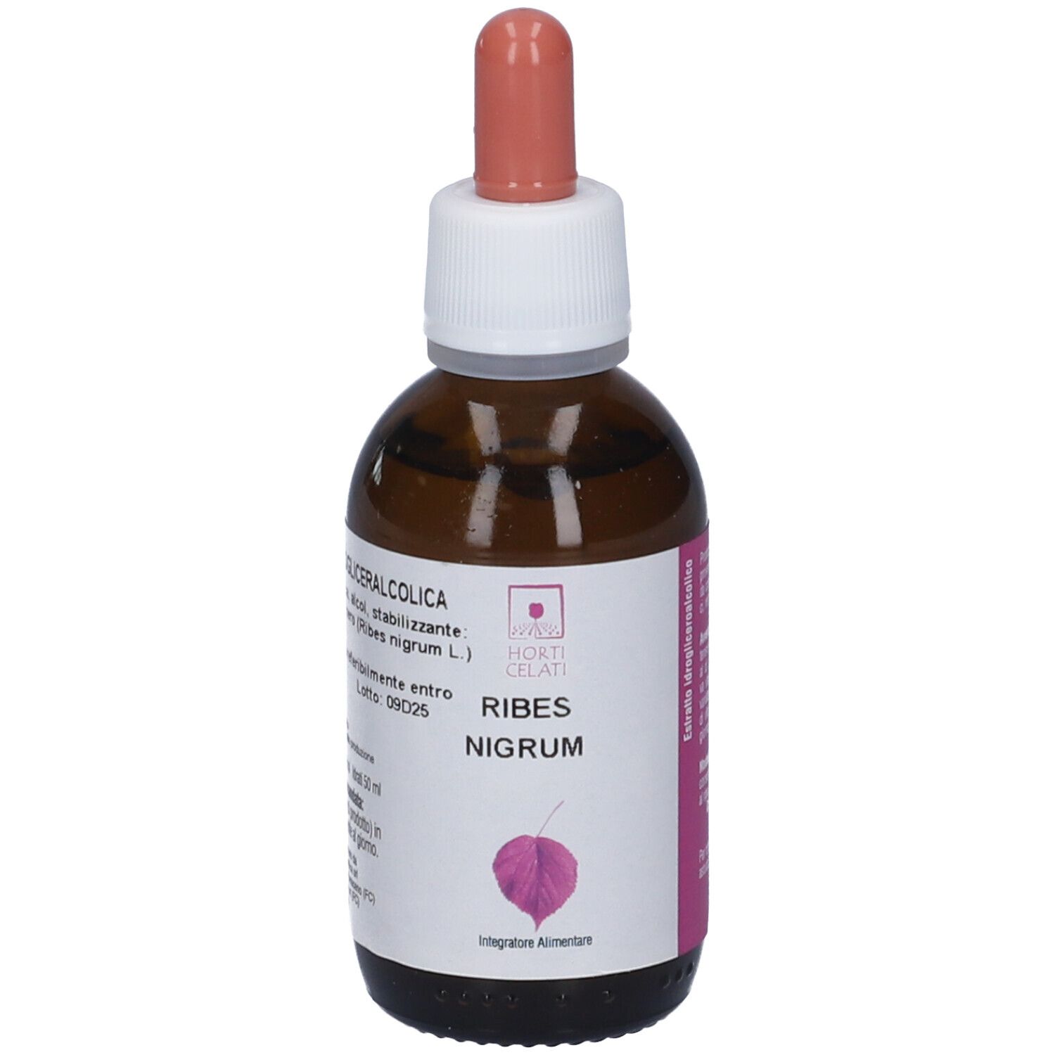 Horti Celati Ribes Nigum Gocce