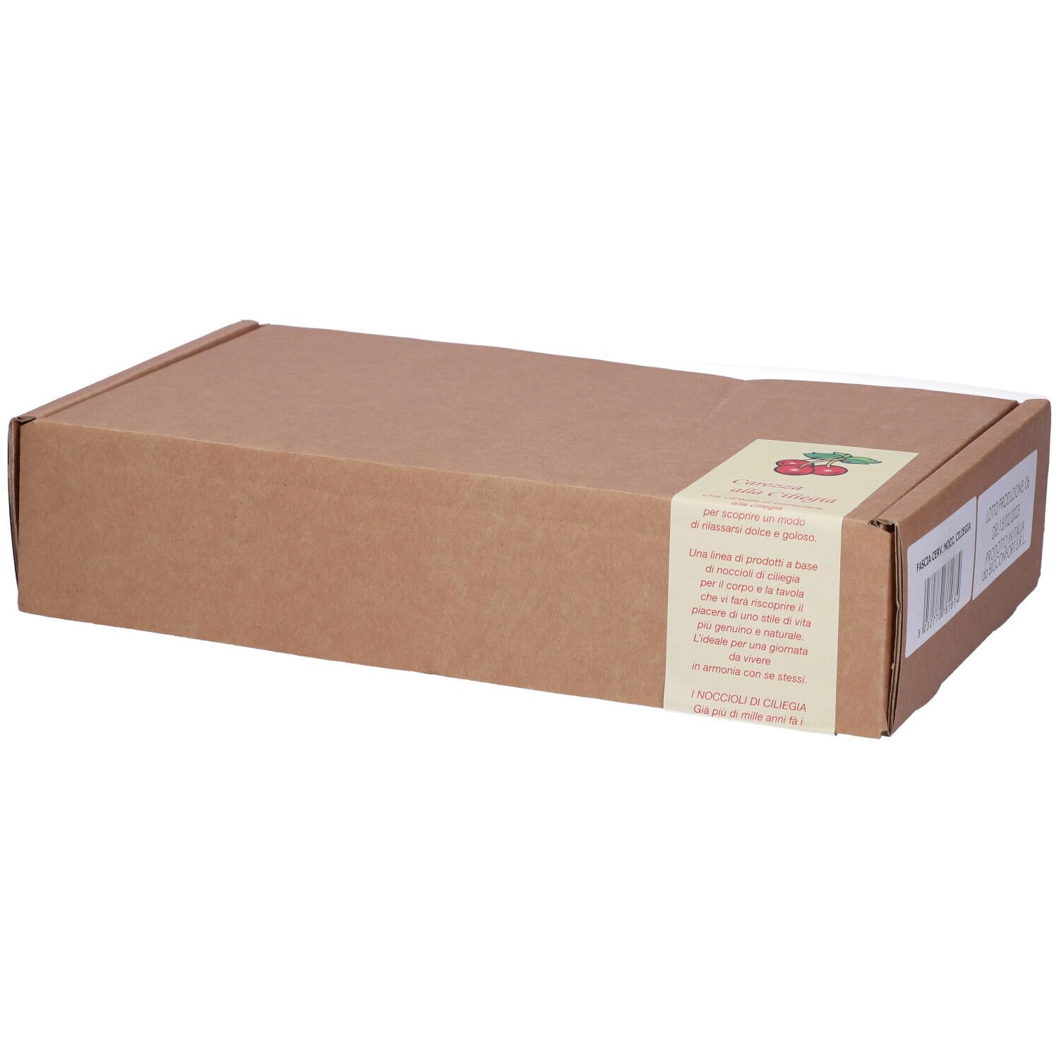 Scatola di cartone marrone con adesivo. Testo in italiano.