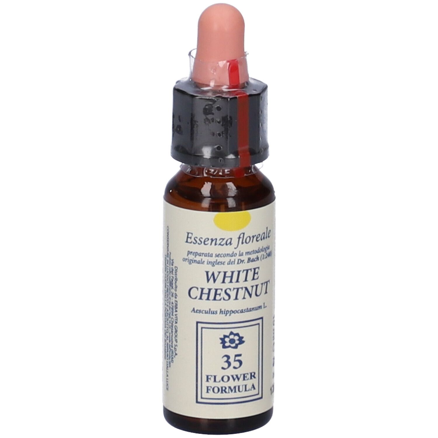 White Chestnut Original