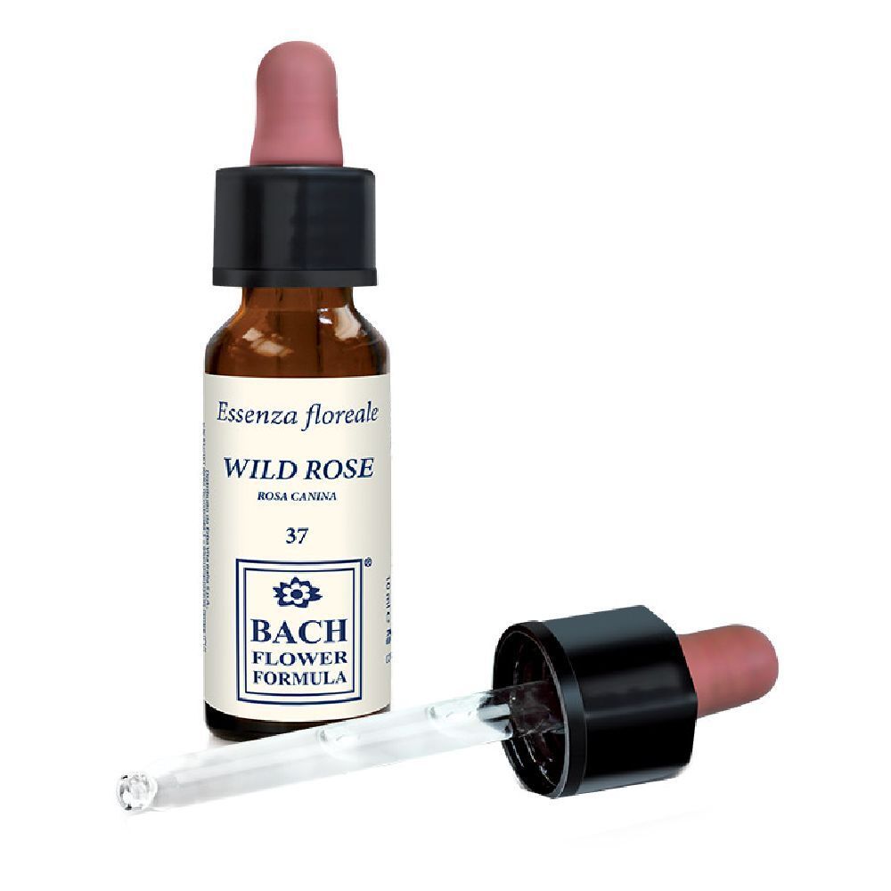 Flacone di vetro marrone con contagocce. Scritta: Wild Rose, Bach Flower Formula. Tappo e punta rosa.