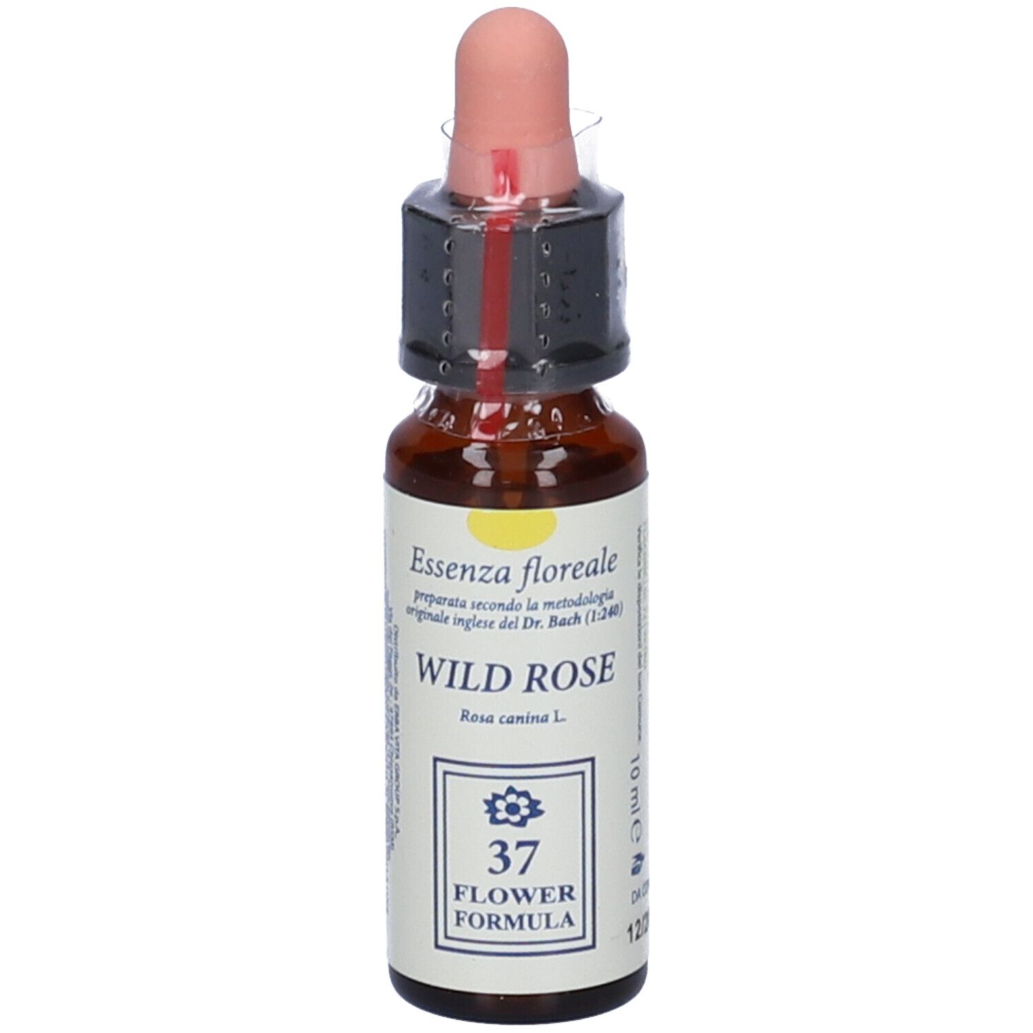 Flacone di vetro marrone con contagocce. Scritta: Wild Rose, Bach Flower Formula. Tappo rosa. Confezionato.
