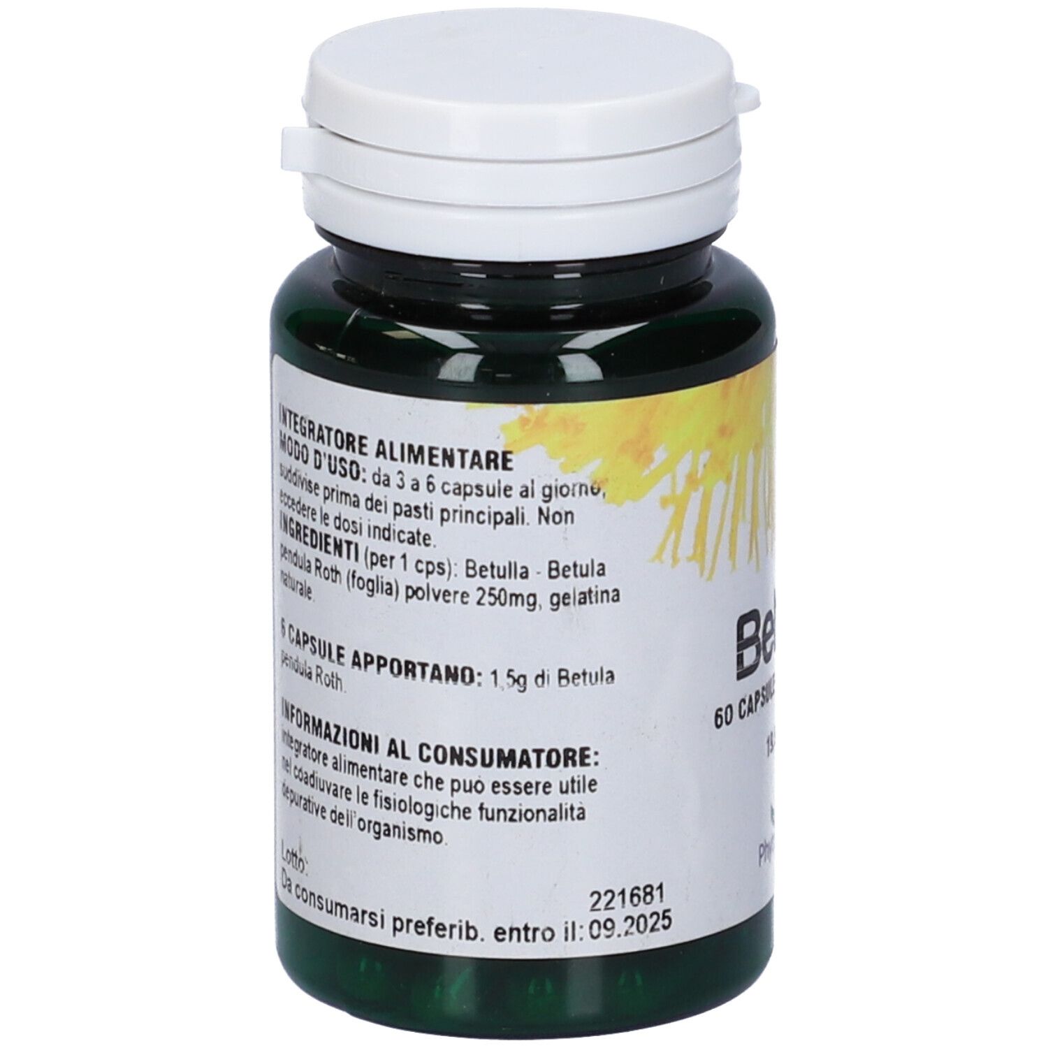 Flacone verde di capsule, coperchio bianco. Testo sul retro. Scritta: Betulla, 60 capsule. Marchio: PhytoItalia.