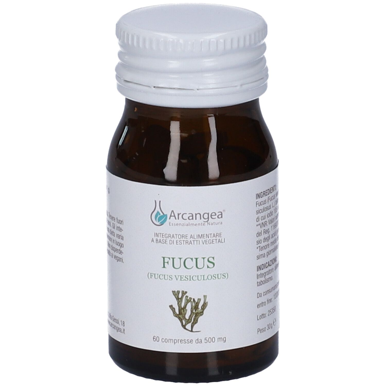 Fucus Capsule 500Mg