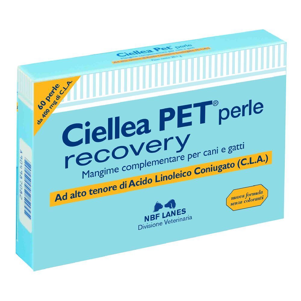 Ciellea PET Recovery 60Prl 60 St Perlen
