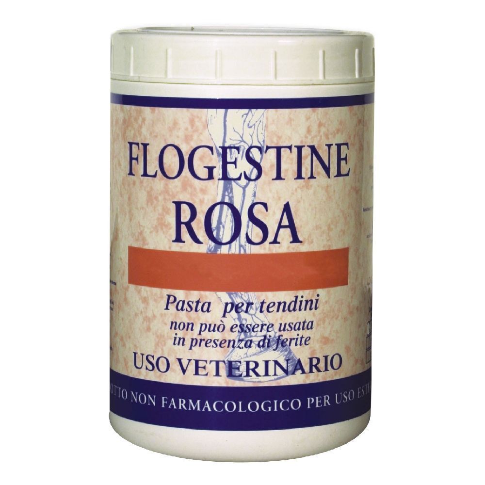 Contenitore bianco con coperchio. Scritta Flogestine Rosa. Testo: Pasta per tendini, Uso Veterinario.