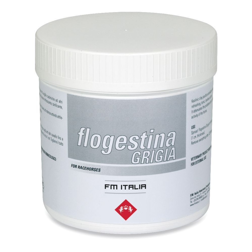 Flogestina Grigia Pasta 1 Kg
