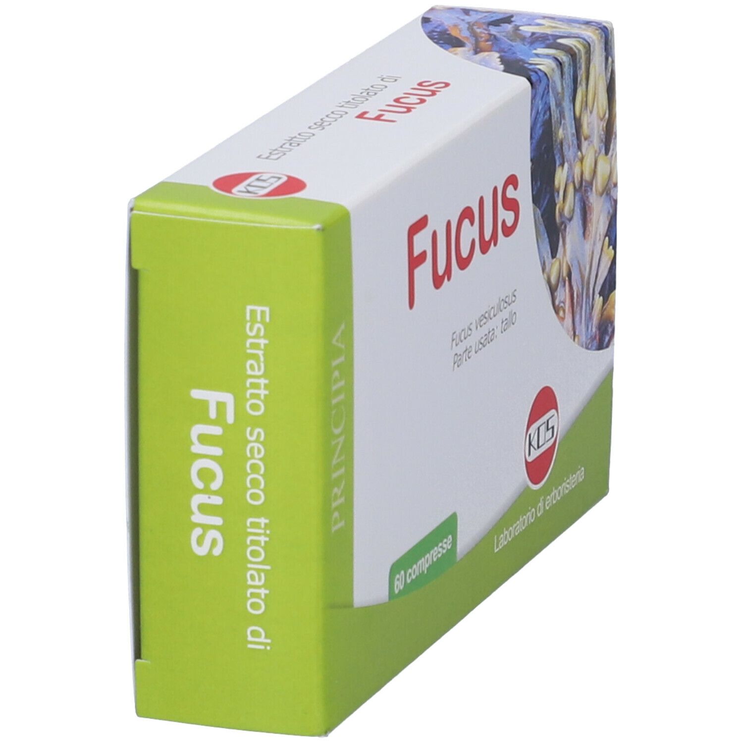 Scatola con scritta rossa Fucus. Lato verde con testo. Logo KOS. Sfondo con immagine di alghe.
