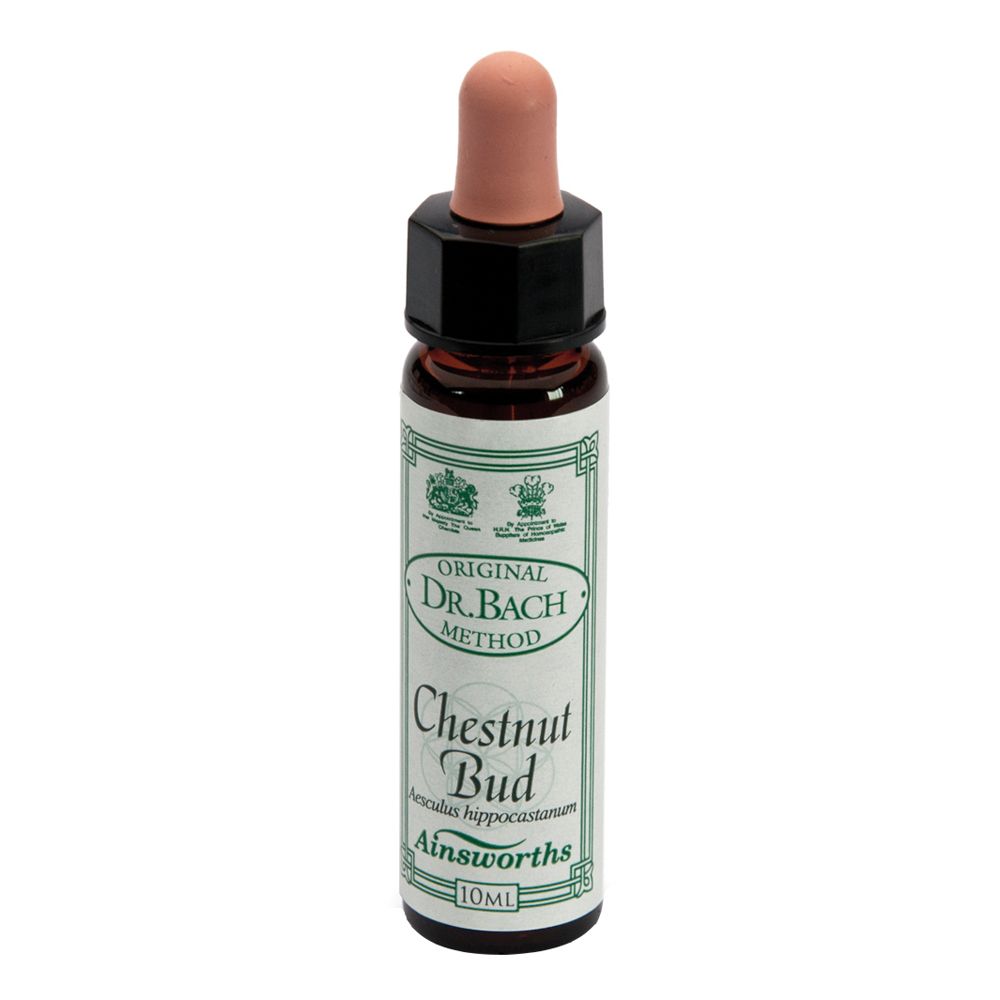Ainsworths Dr.Bach n°7 Chestnut Bud Aesculus Hippocastanum