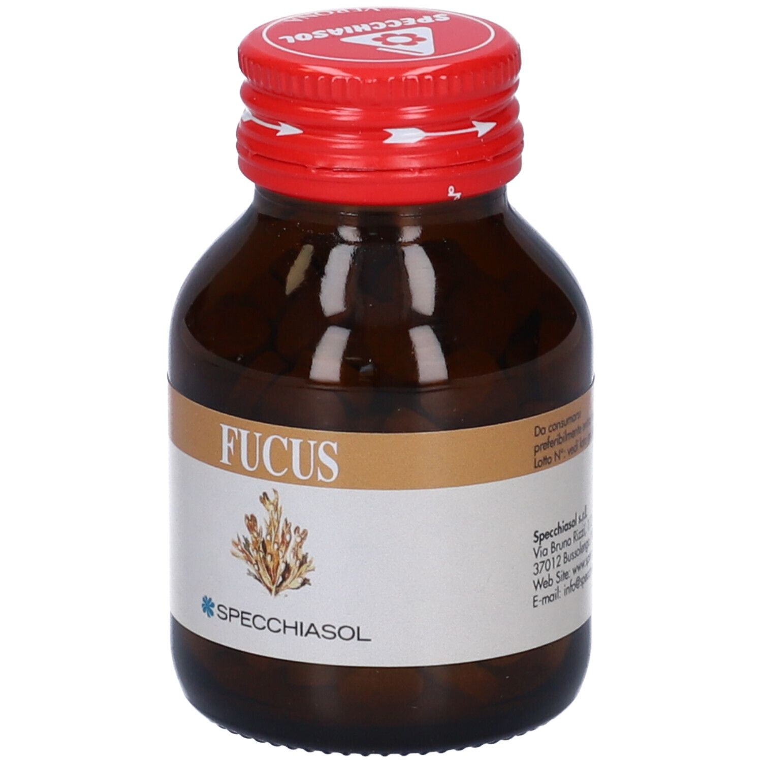 Flacone di vetro marrone con tappo rosso. Scritta: Fucus. Marchio: Specchiasol. Illustrazione di alghe.
